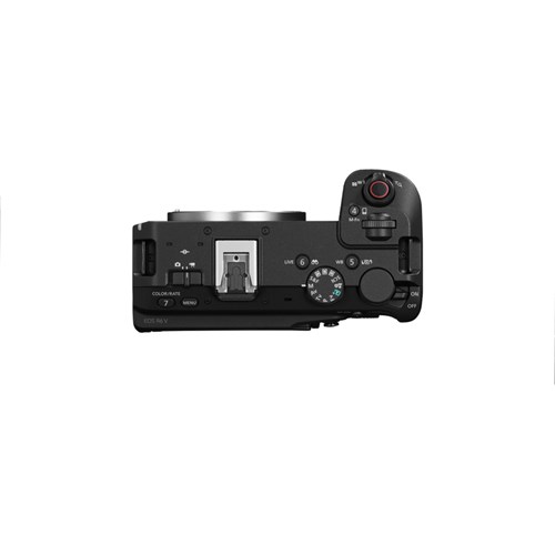 output.auto (4)